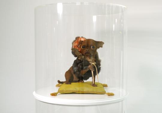 dog realistic sculpture rabbit’s fur roadkill